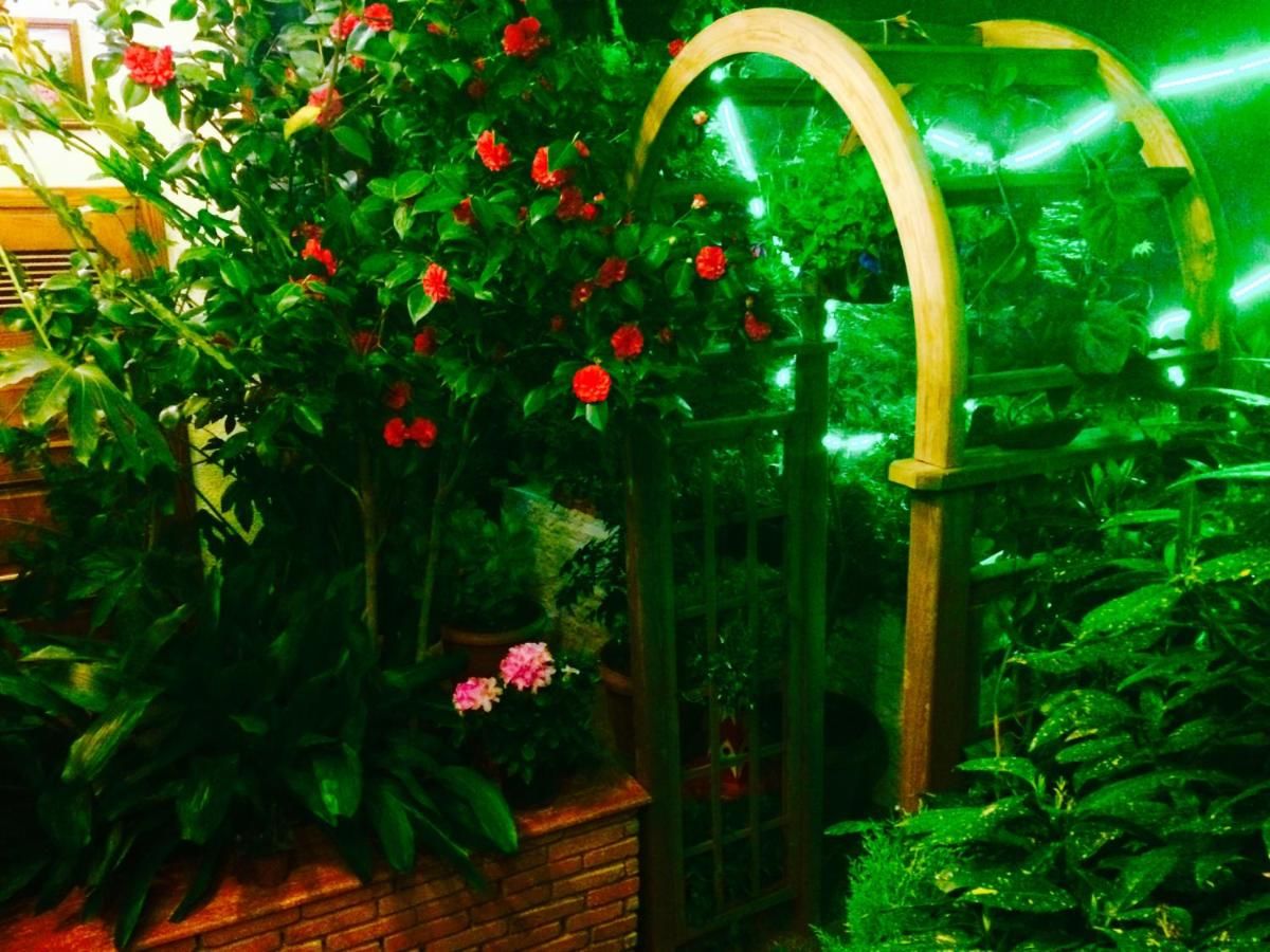 Отель Boutique Hotel British House Тбилиси-24